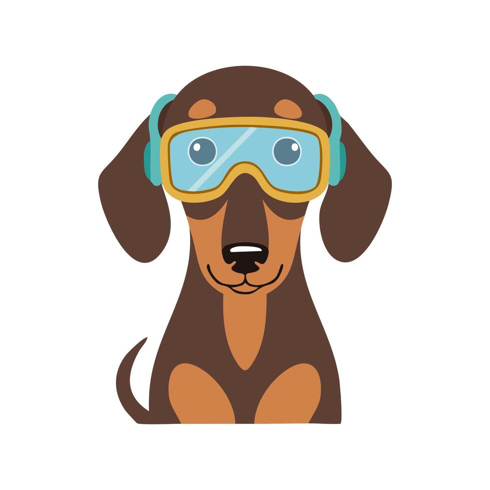 Dachshund with Goggles vector