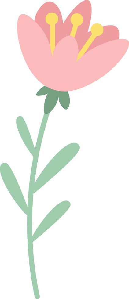 Pink flower with yellow pistils and green stem with leaves growing upwards, simple illustration of a beautiful plant representing spring, love, and nature vector