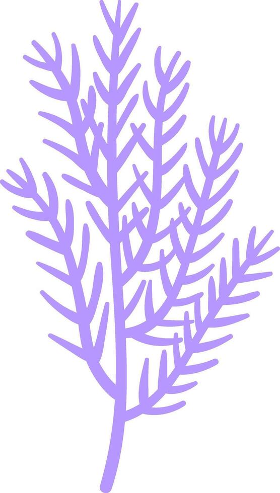 Lavender sprig growing upward with multiple stems and leaves, representing growth, nature, and aromatherapy, perfect for wellness and spa designs vector