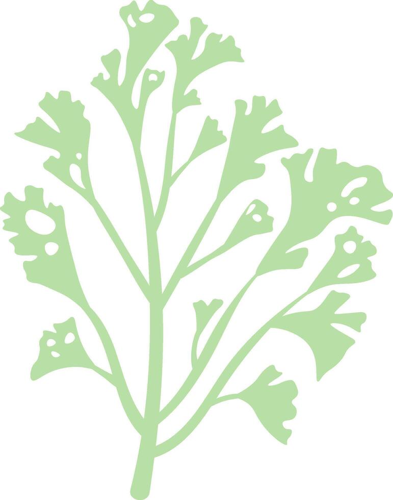 Light green sprig with delicate small leaves growing upwards against a clean white background, embodying minimalist design and evoking themes of nature, spring, and growth vector