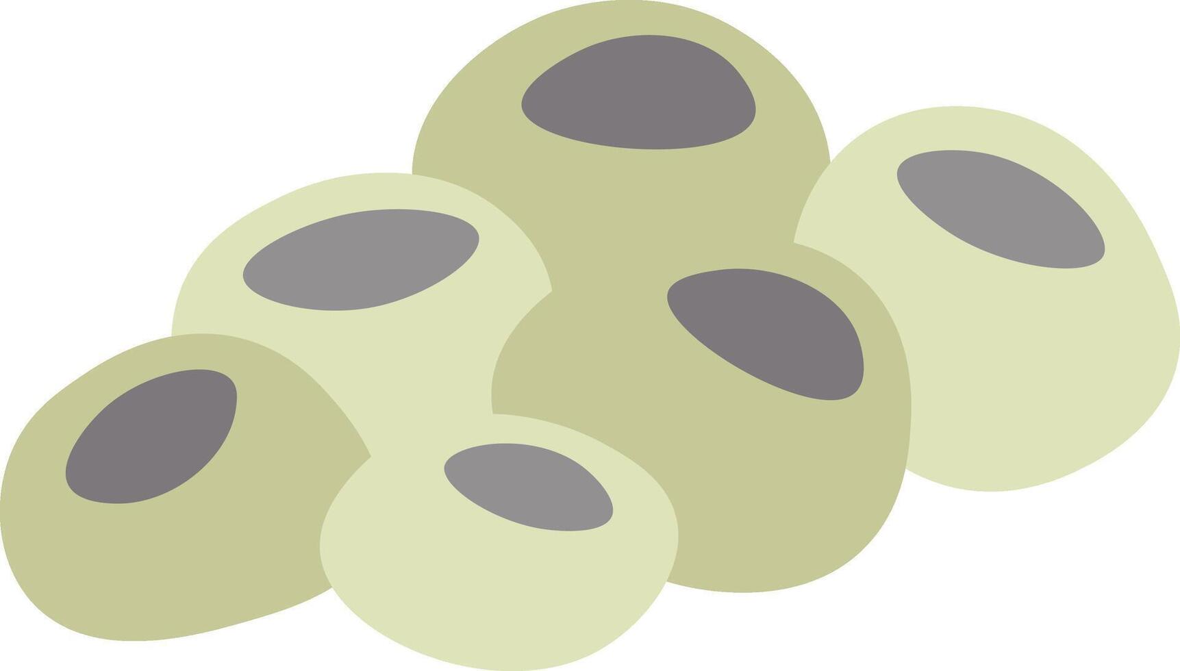 Lotus seeds with their characteristic dark spots creating a visually appealing pattern, perfect for representing healthy eating, traditional medicine, or Asian cuisine vector