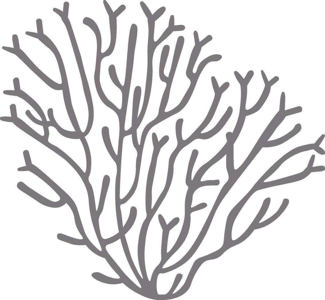 Stylized gray coral featuring numerous branching formations, thriving against a clean white background, perfect for enhancing marine themed designs or serving as an elegant decorative element vector