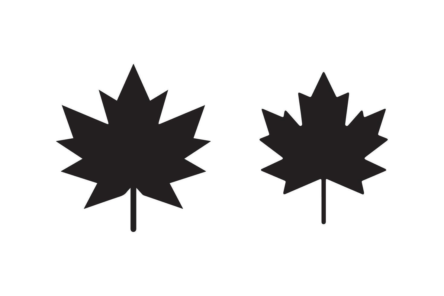Two black and white maple leaves are shown vector
