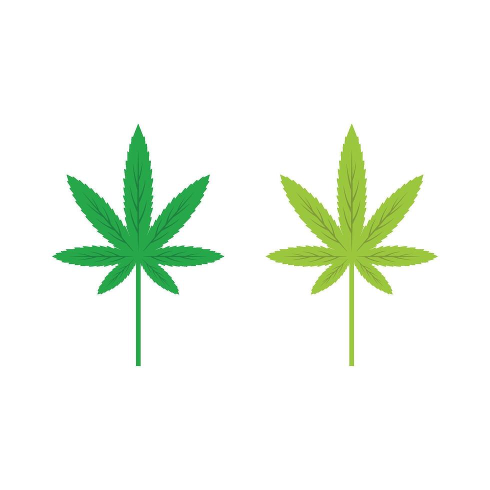Set Green Cannabis Leaf Illustration Design. EPS 10. vector