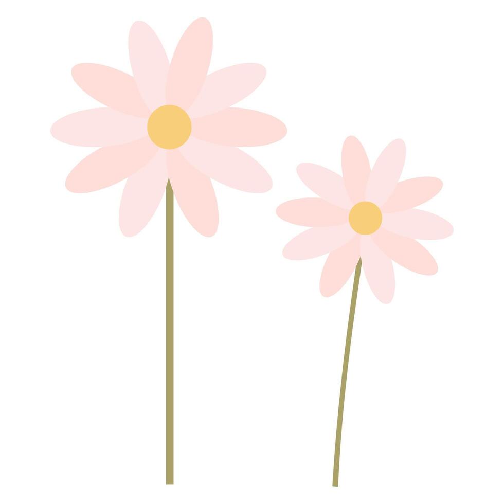 Simple illustration of two pastel-colored daisy flowers, great for floral, nature, or spring-themed designs. vector
