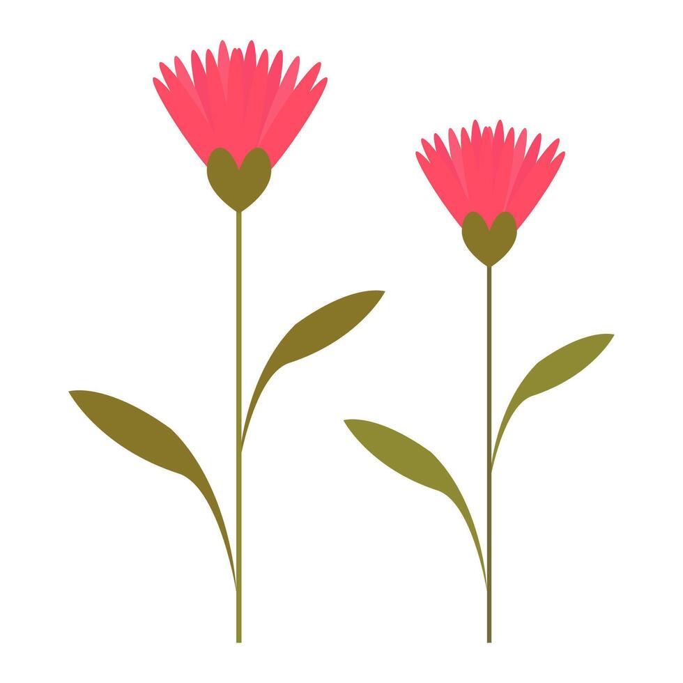 illustration of two pink daisies with green stems, perfect for spring, floral, and garden designs. vector