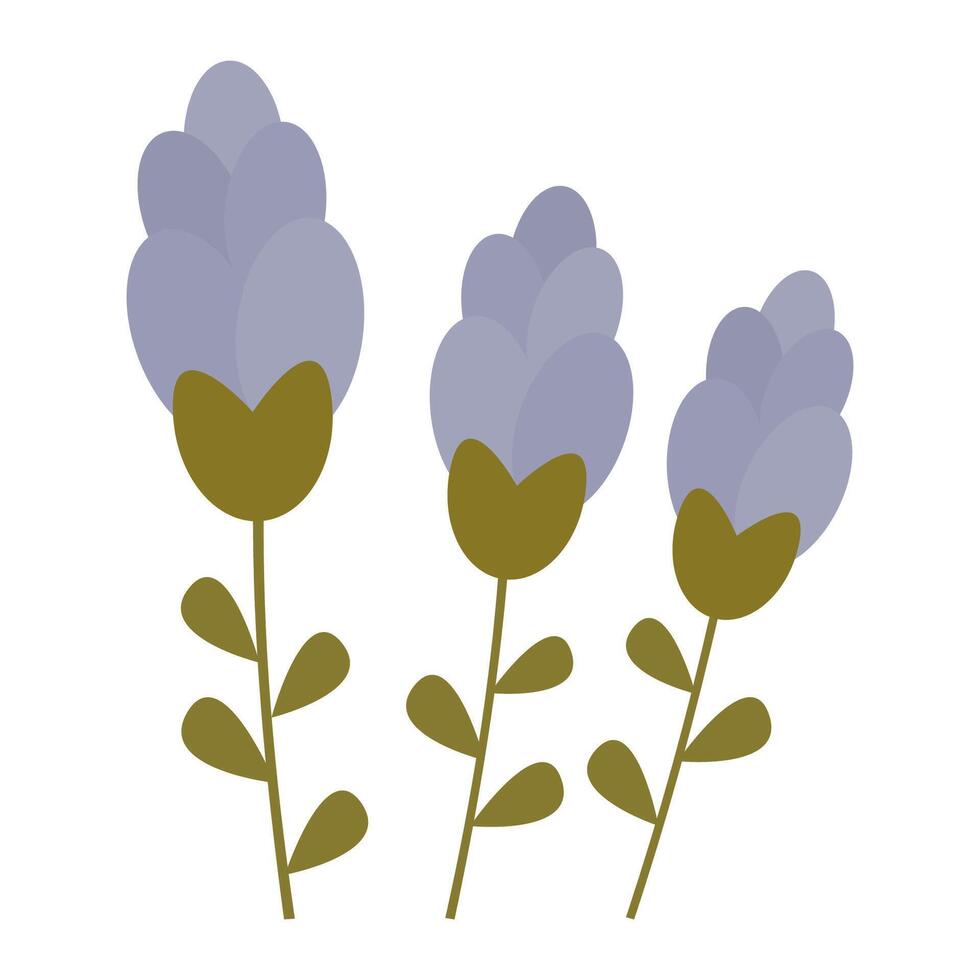 illustration of three lavender flowers with green stems, ideal for floral, herbal, and nature-themed designs. vector