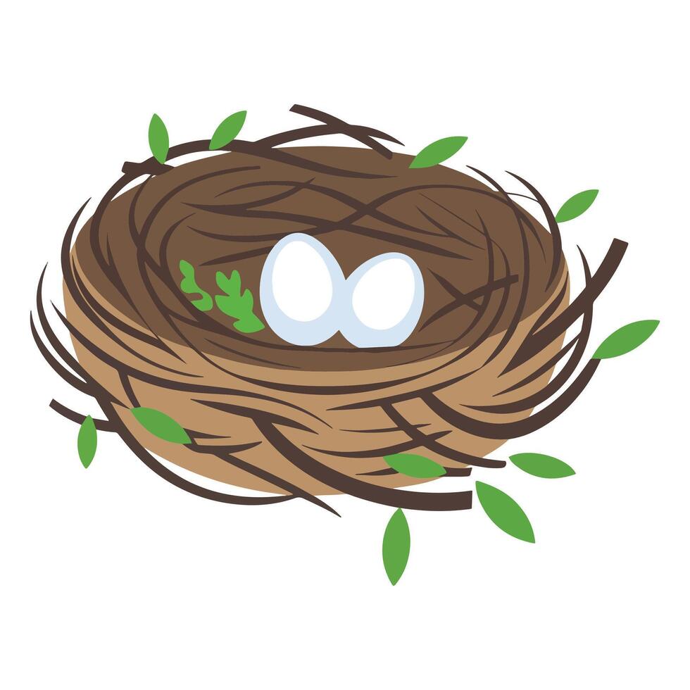 Bird Nest with Eggs Inside vector
