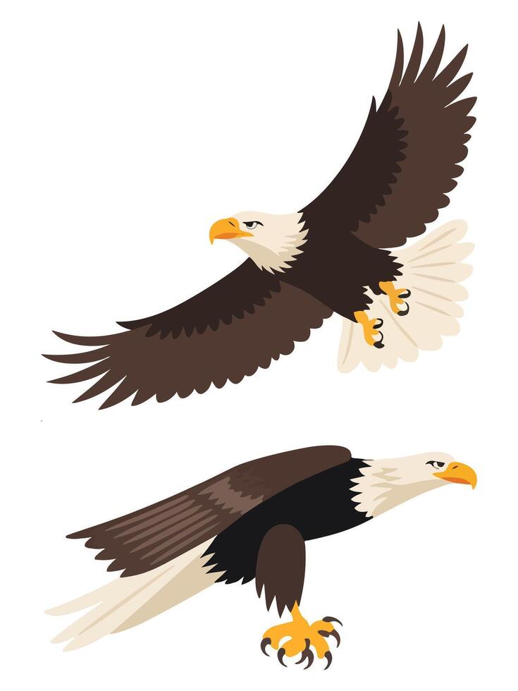 Eagle Birds Flying and Sitting Bald Eagles vector