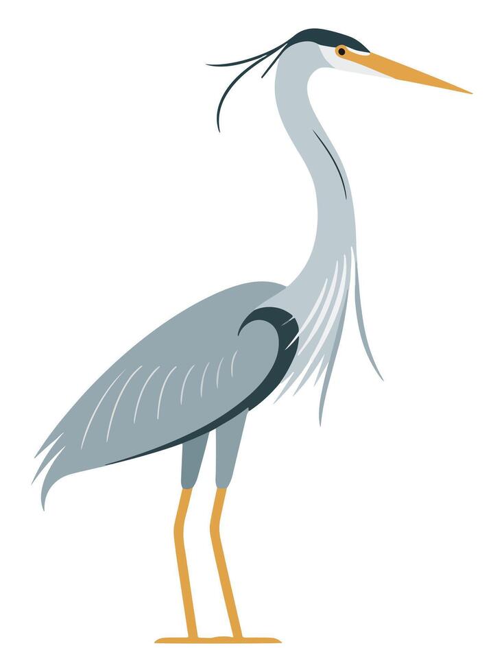 Set of Heron Birds in Different Poses Flying and Standing vector
