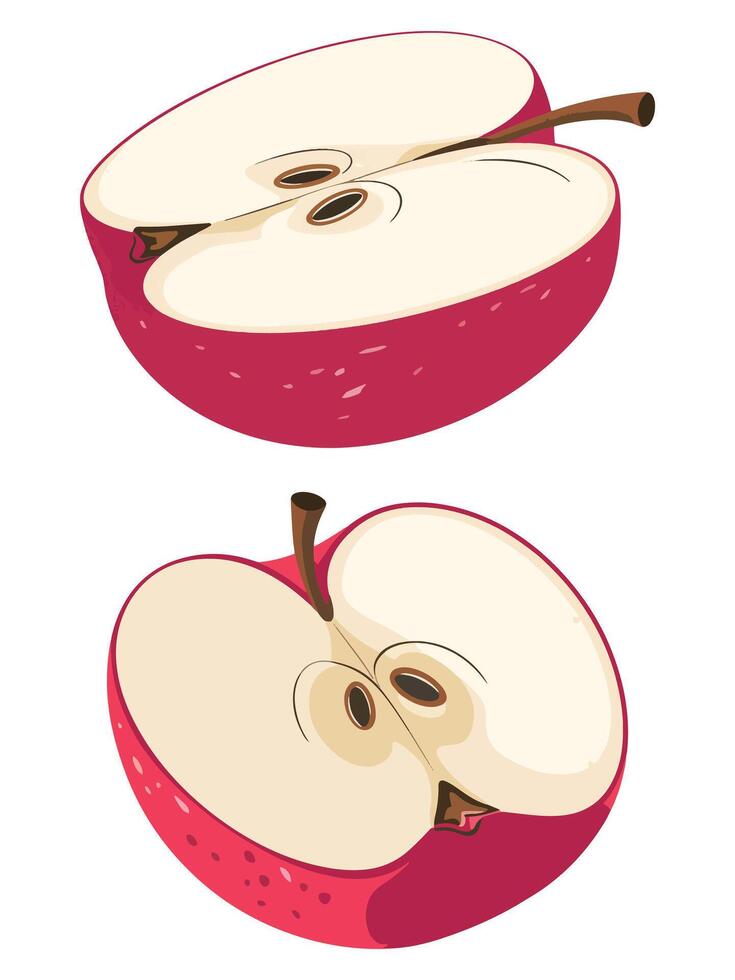 Red Apple Cut in Half Healthy Snack Illustration vector