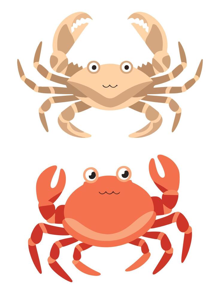 Crab Bundle Various Types of Crustaceans vector