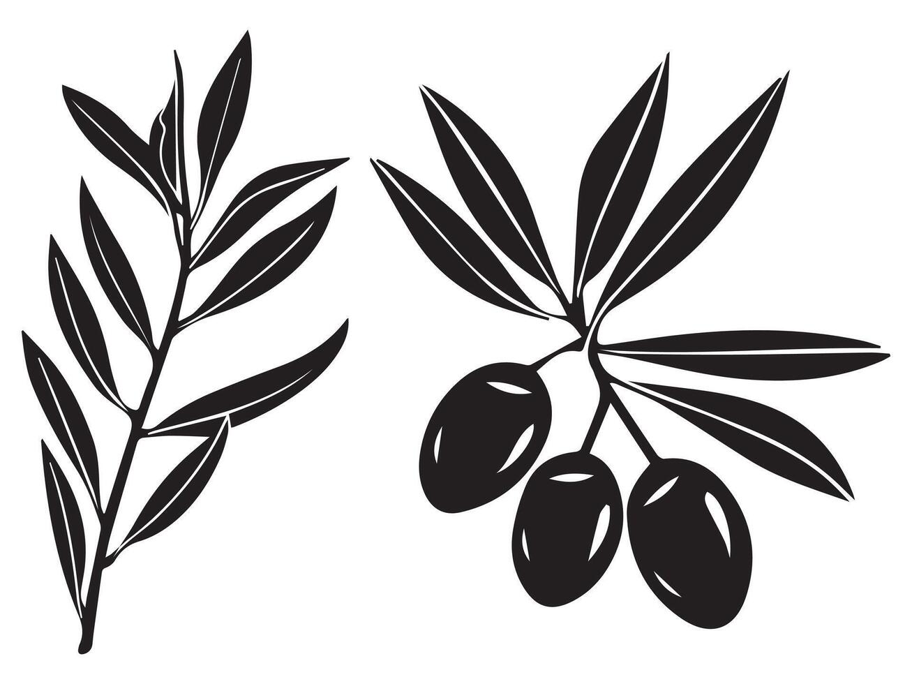 Set of Olive Branch Black Silhouettes vector