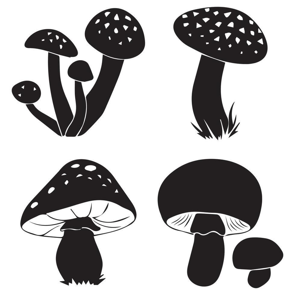Black and White of Different Mushrooms Illustration vector