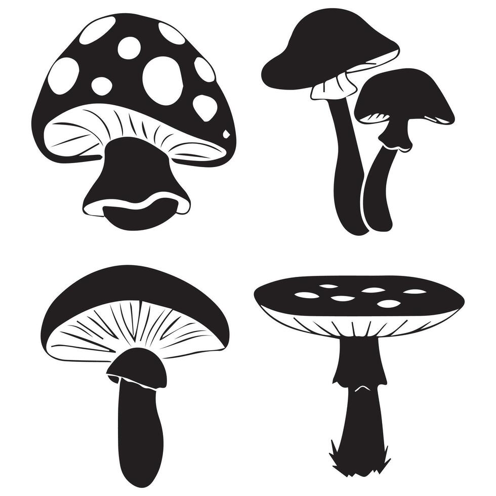 Set of Different Mushrooms Illustration vector