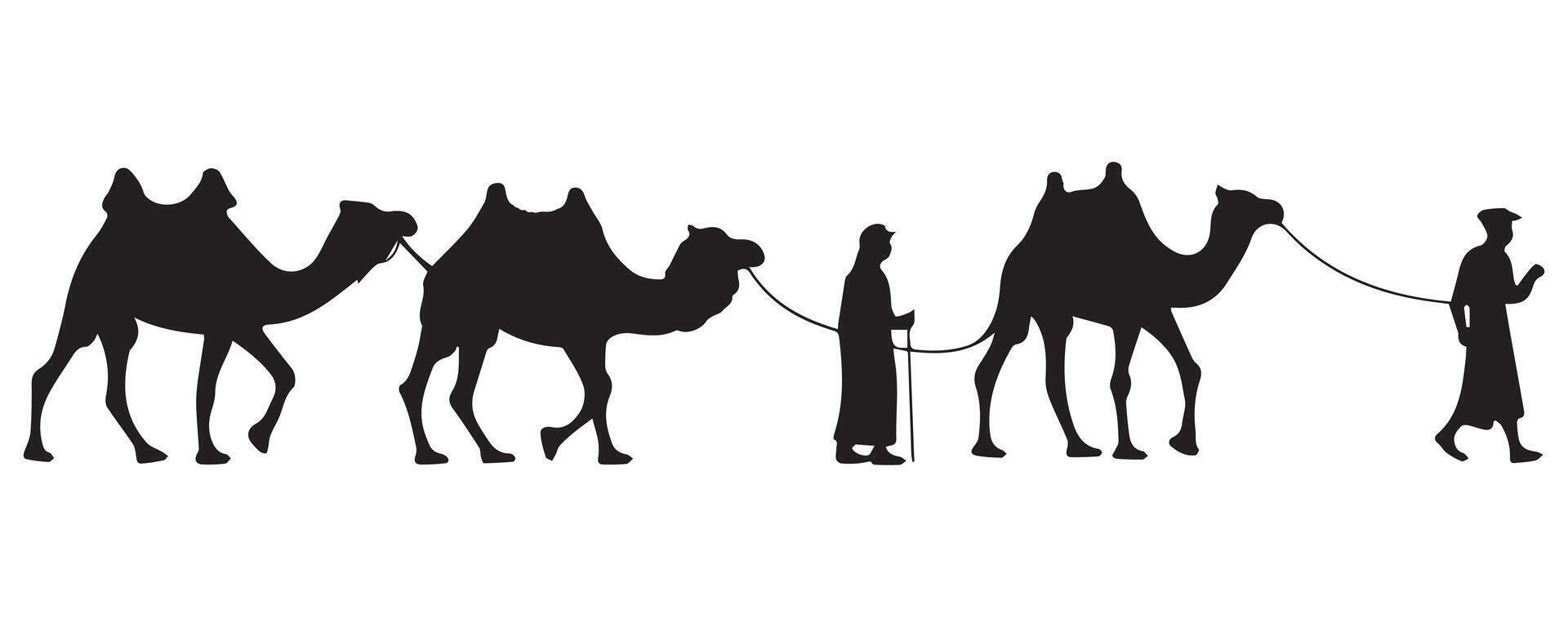 Set of Camel Illustrations on White Background vector