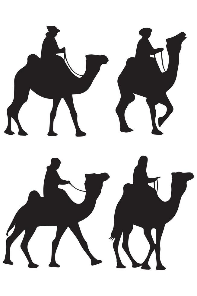 Camel Illustrations on White Background vector