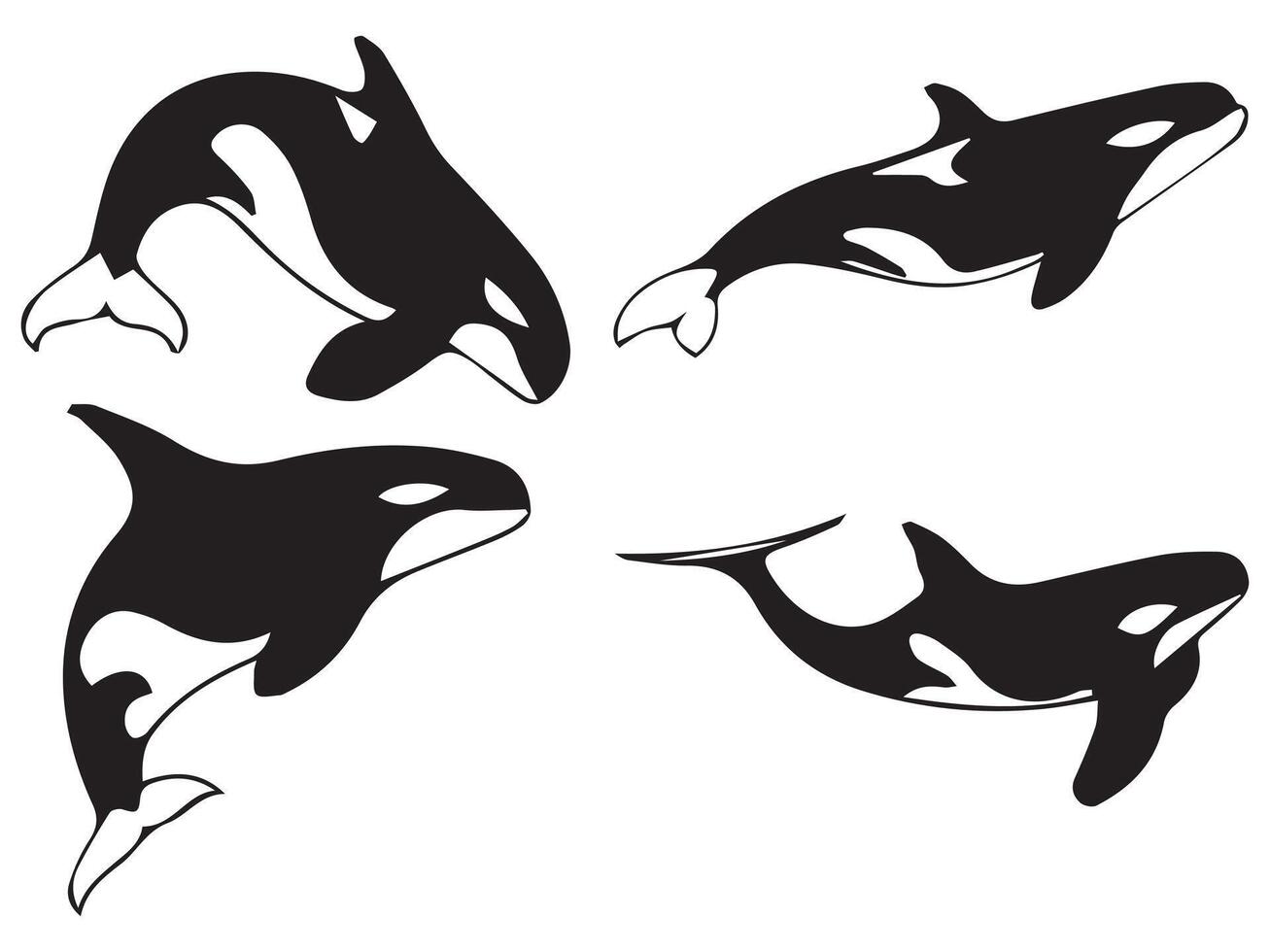 funny Orca Whale Silhouette in Various Styles vector