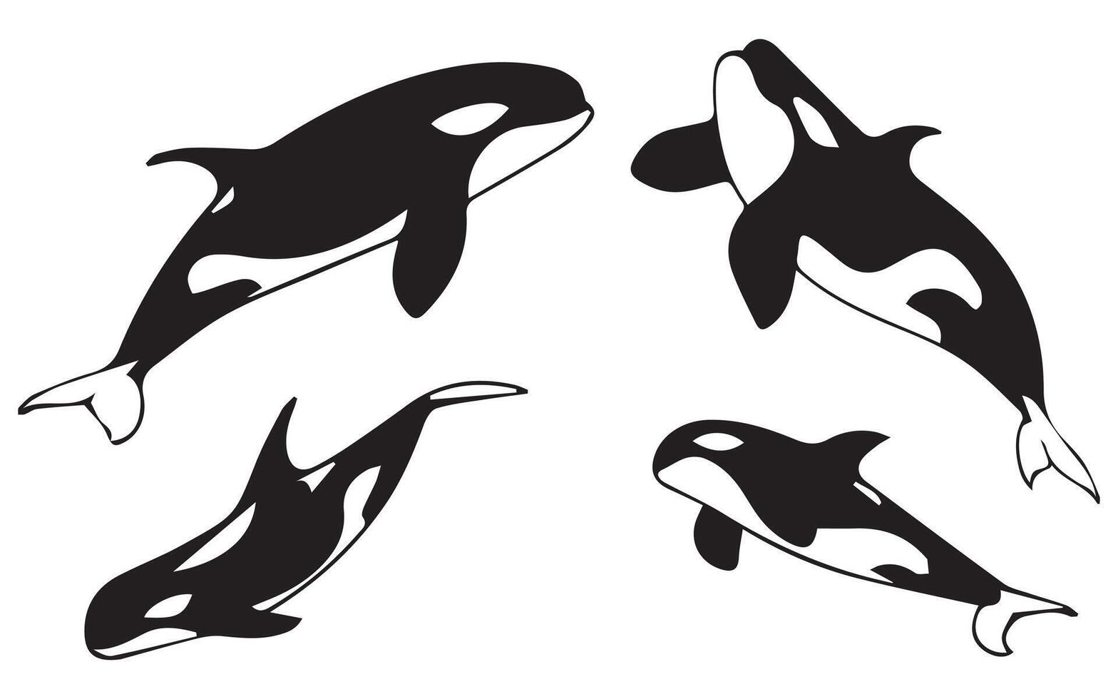 Orca Whale Silhouette in Various vector
