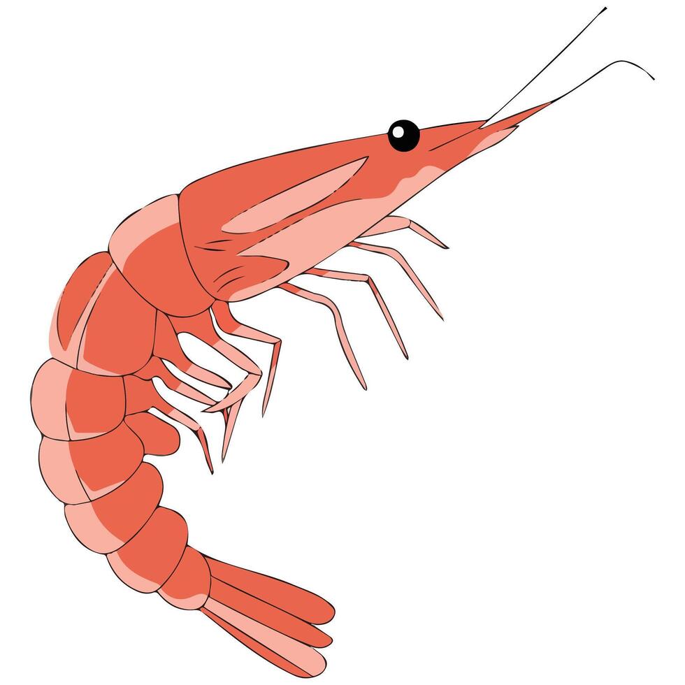 Cartoon Shrimp Seafood and Restaurant Dishes Concept vector