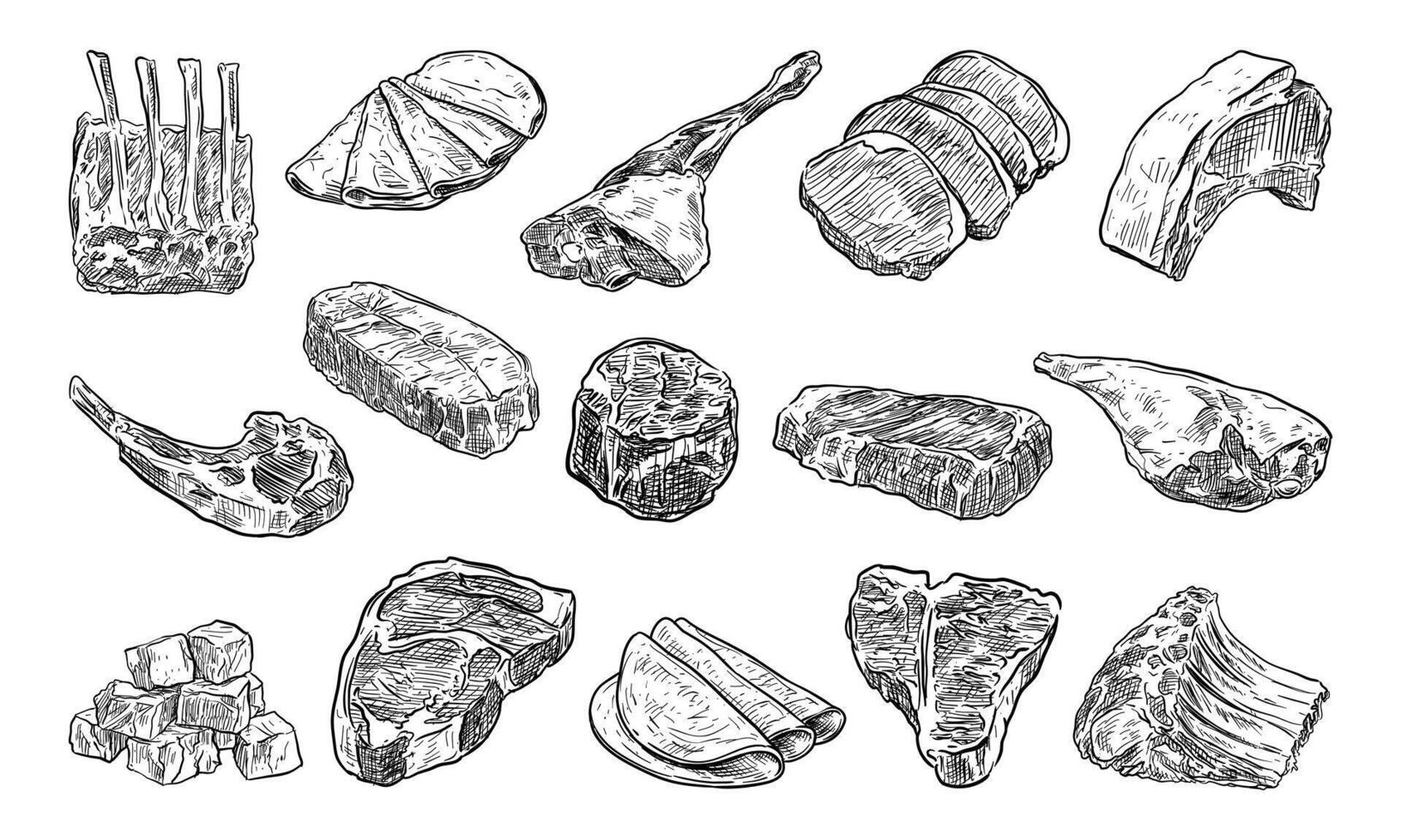 Handdrawn Meat Slice Collection vector