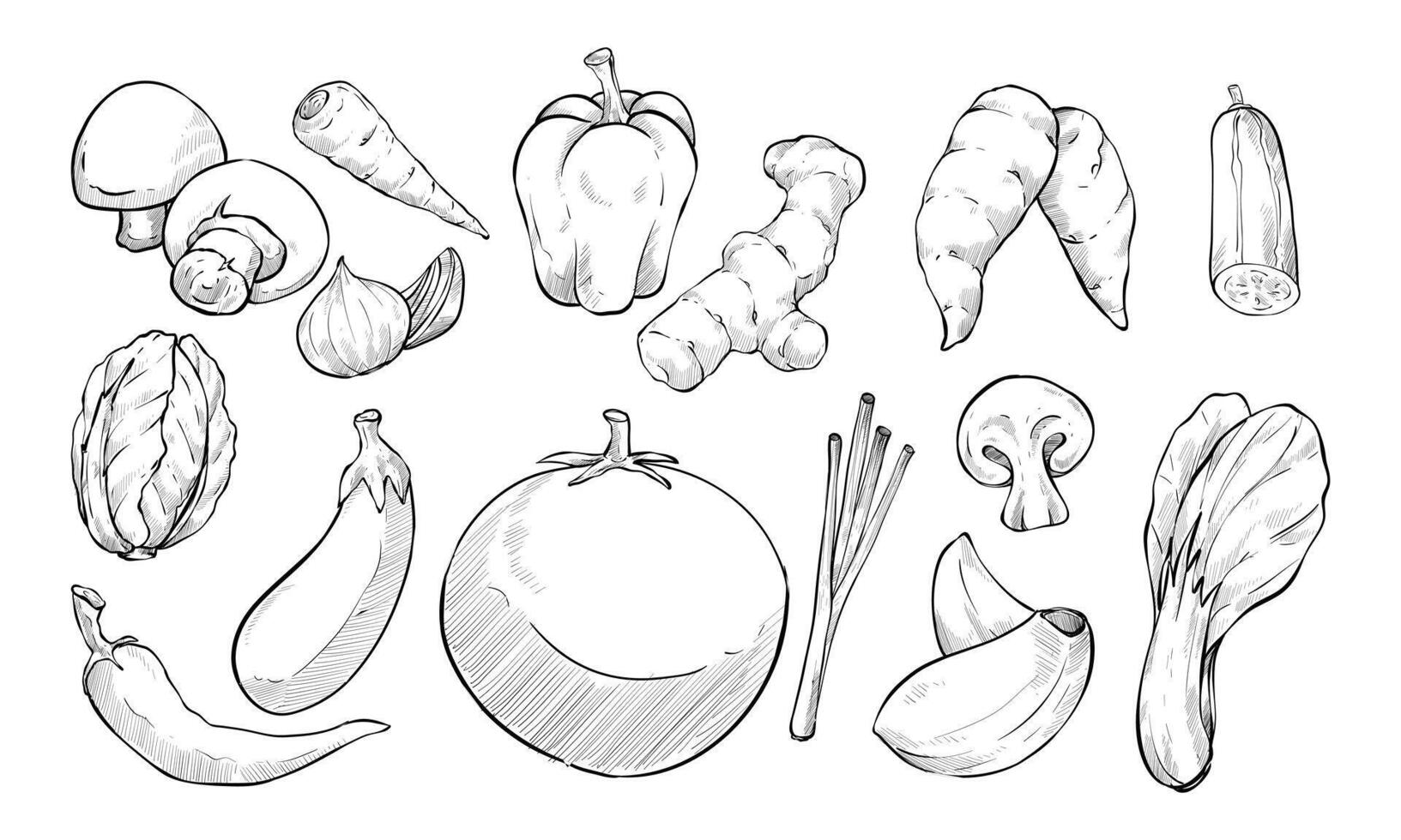vegetables market handdrawn collection vector