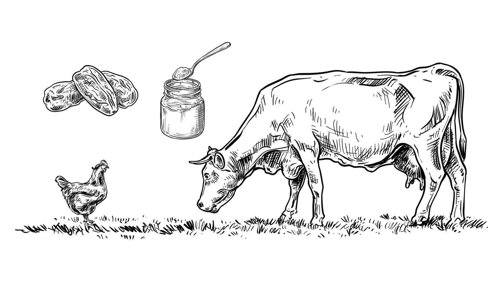 farm field handdrawn collection vector