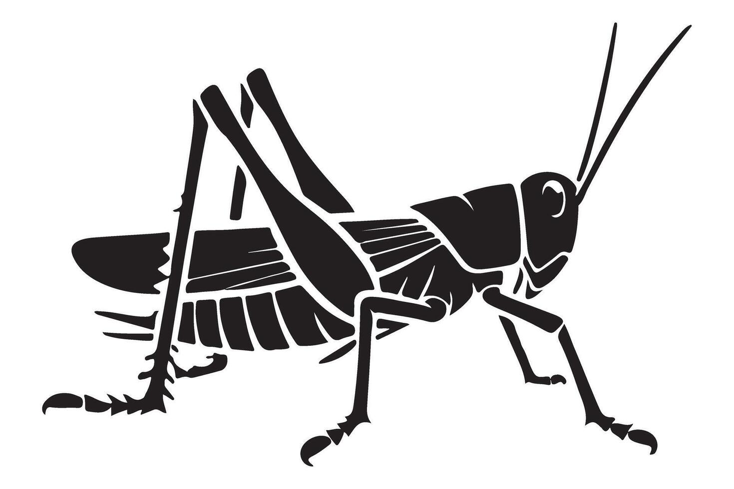 Grasshopper Black Silhouette Illustration Insect Pest Design vector