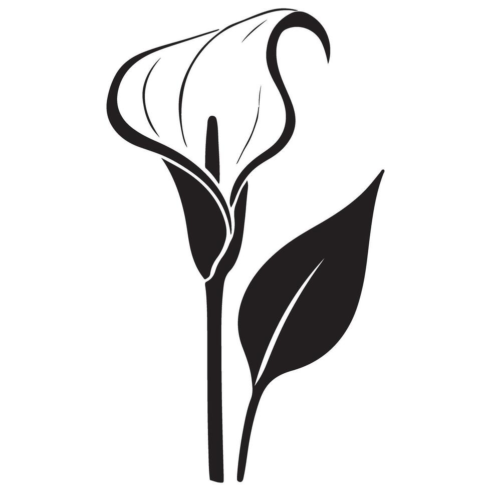Calla Lily Silhouette Black Flower Art Elegant Design vector