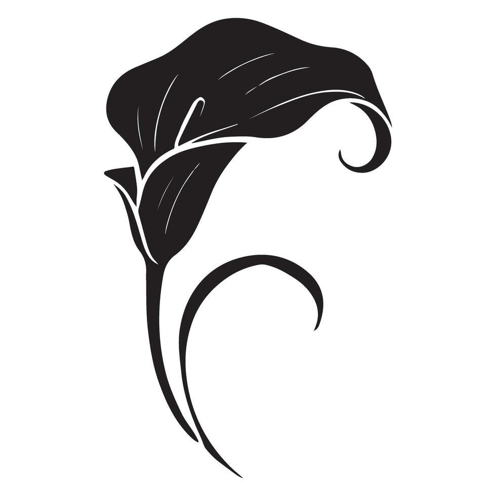 Graceful Calla Lily Silhouette Illustration for Floral Design vector