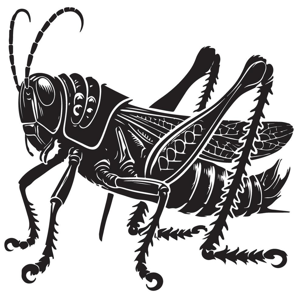 Detailed Grasshopper Silhouette Artwork for Insect Lovers vector