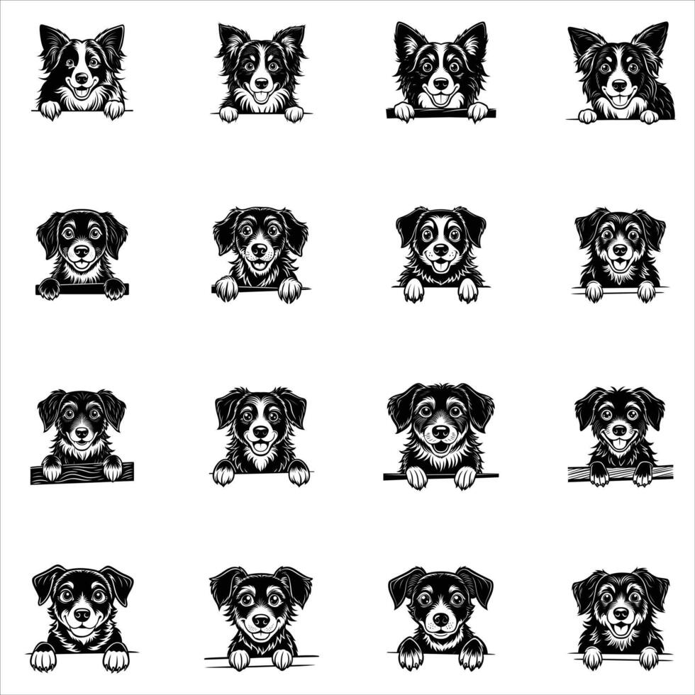 Peeking Border Collie Dog vector