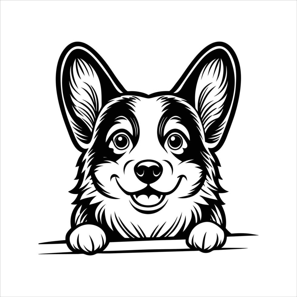 Pembroke welsh corgi vector