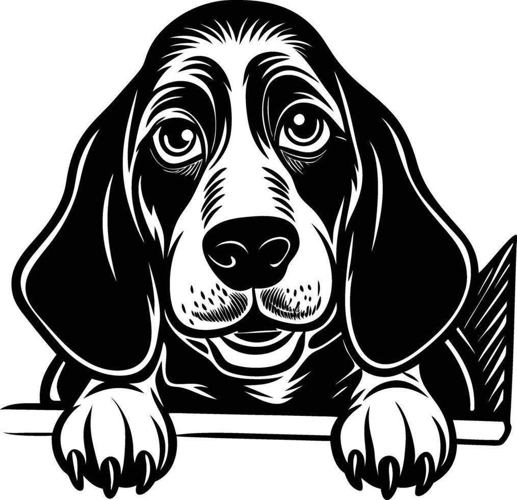 Cute Basset Hound Dogs vector