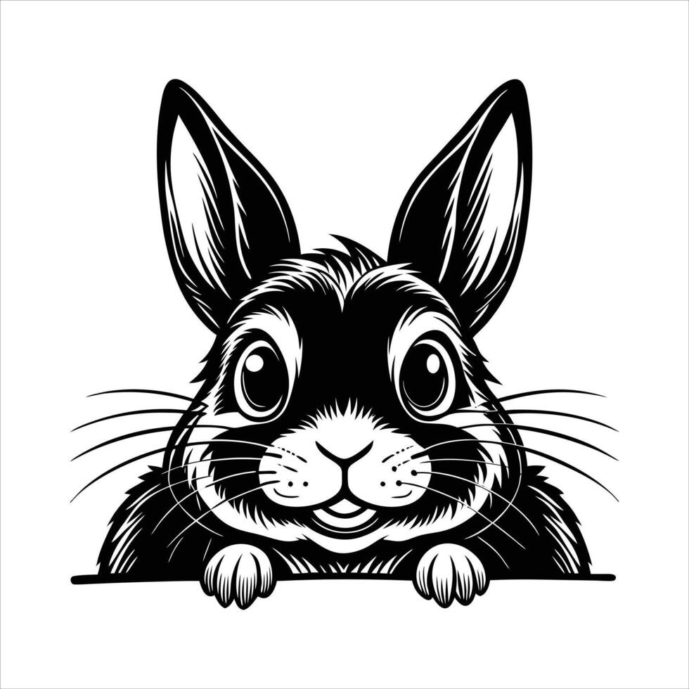 Netherland Dwarf Rabbit vector