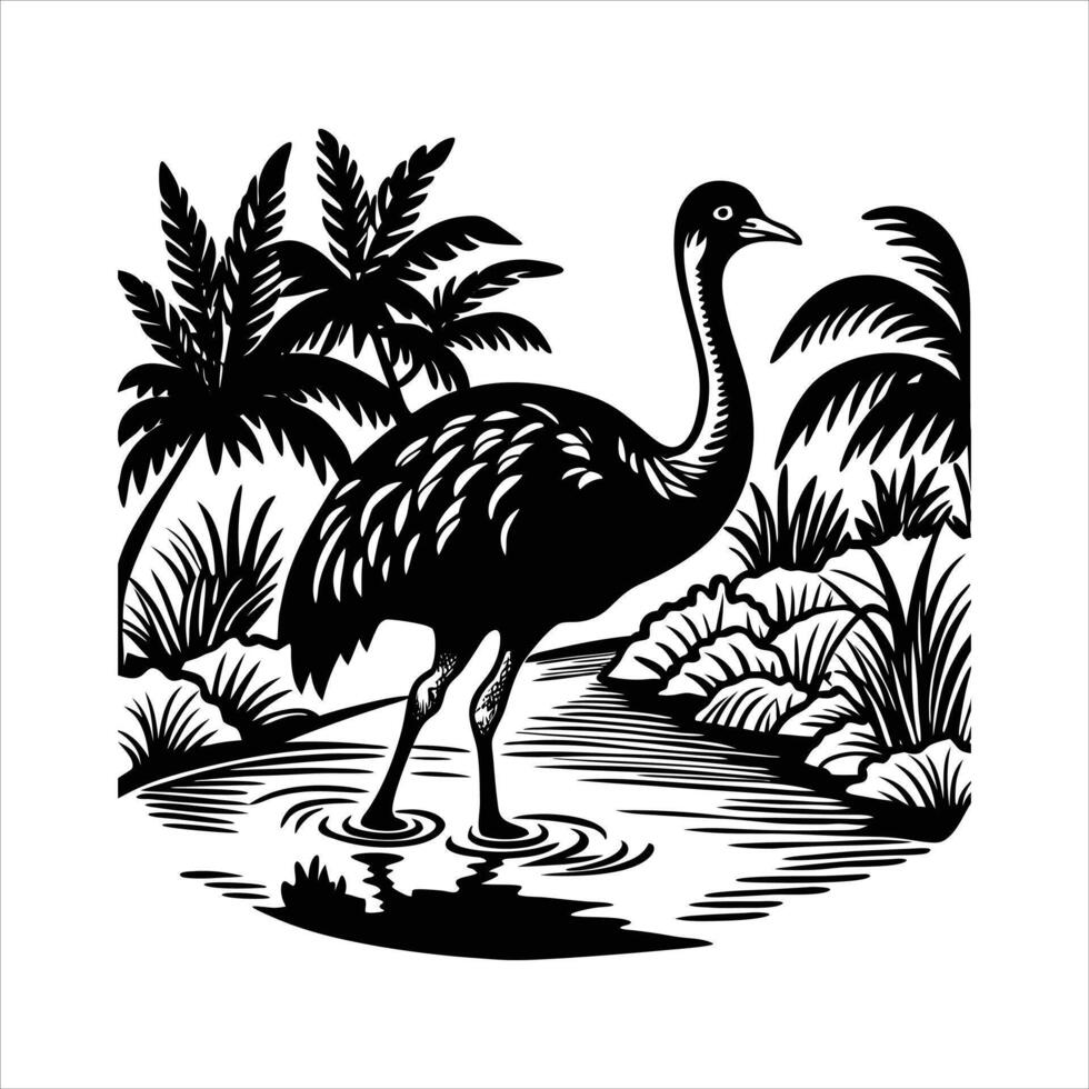 A Southern Cassowary Stands in the Rainfores vector