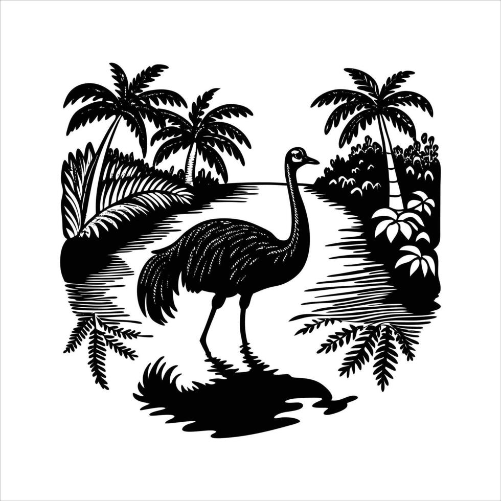 A Southern Cassowary Stands in the Rainforest vector