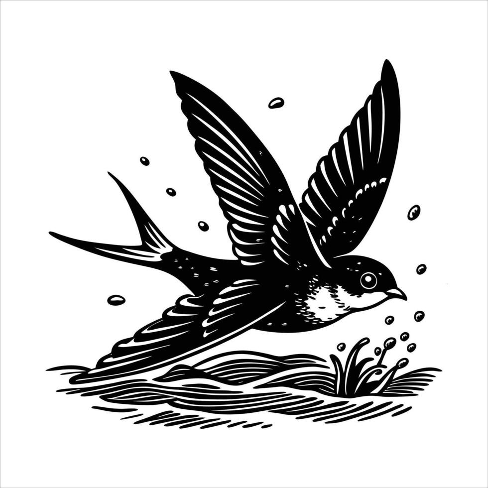 Barn Swallow Swoopin vector