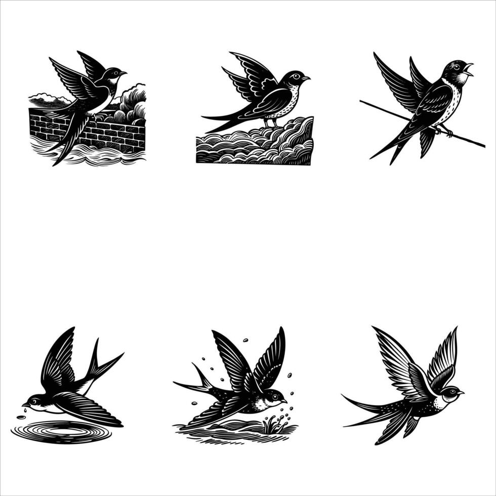 Swallow Birds Flyings vector