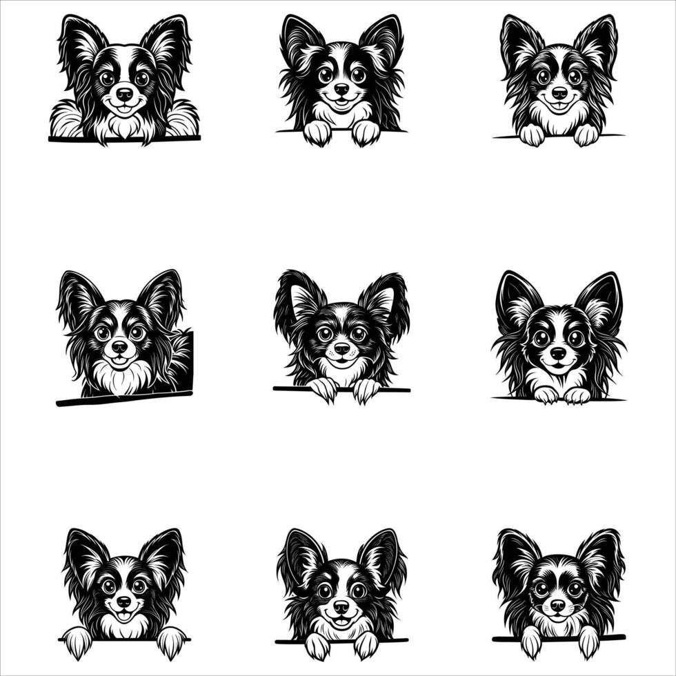 Peeking Papillon Dog svg vector