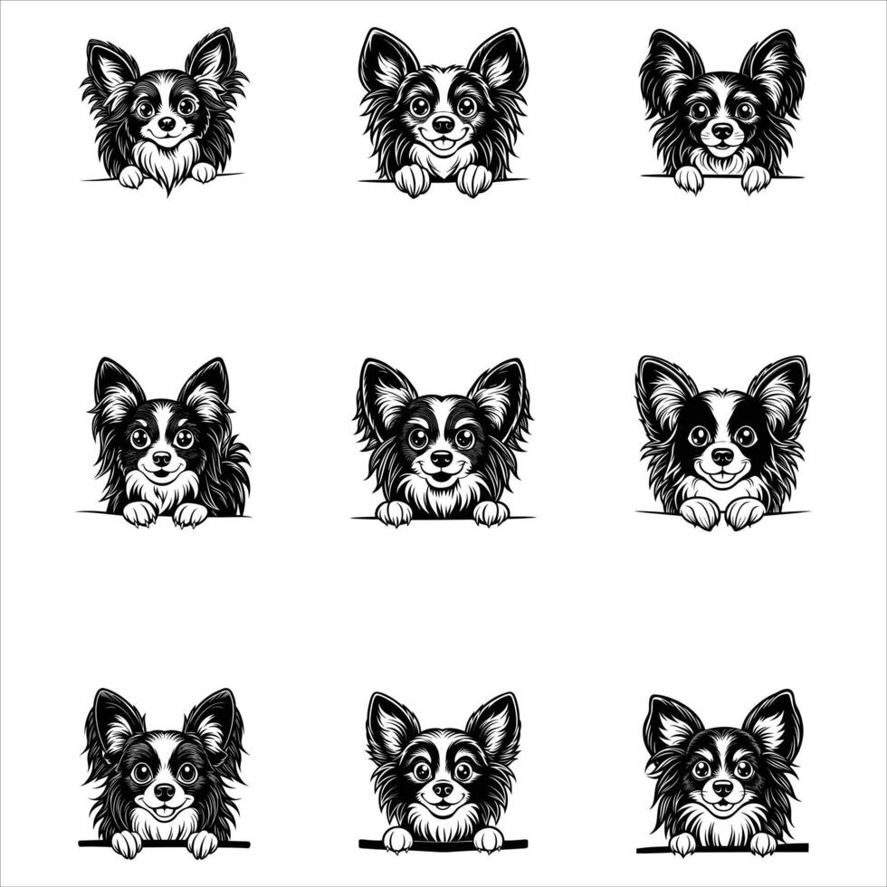Peeking Papillon Dog vector