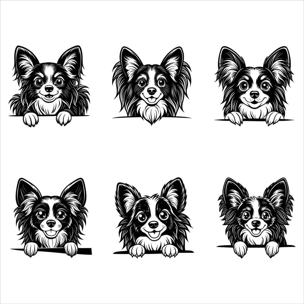 Peeking Papillon Dog Face vector