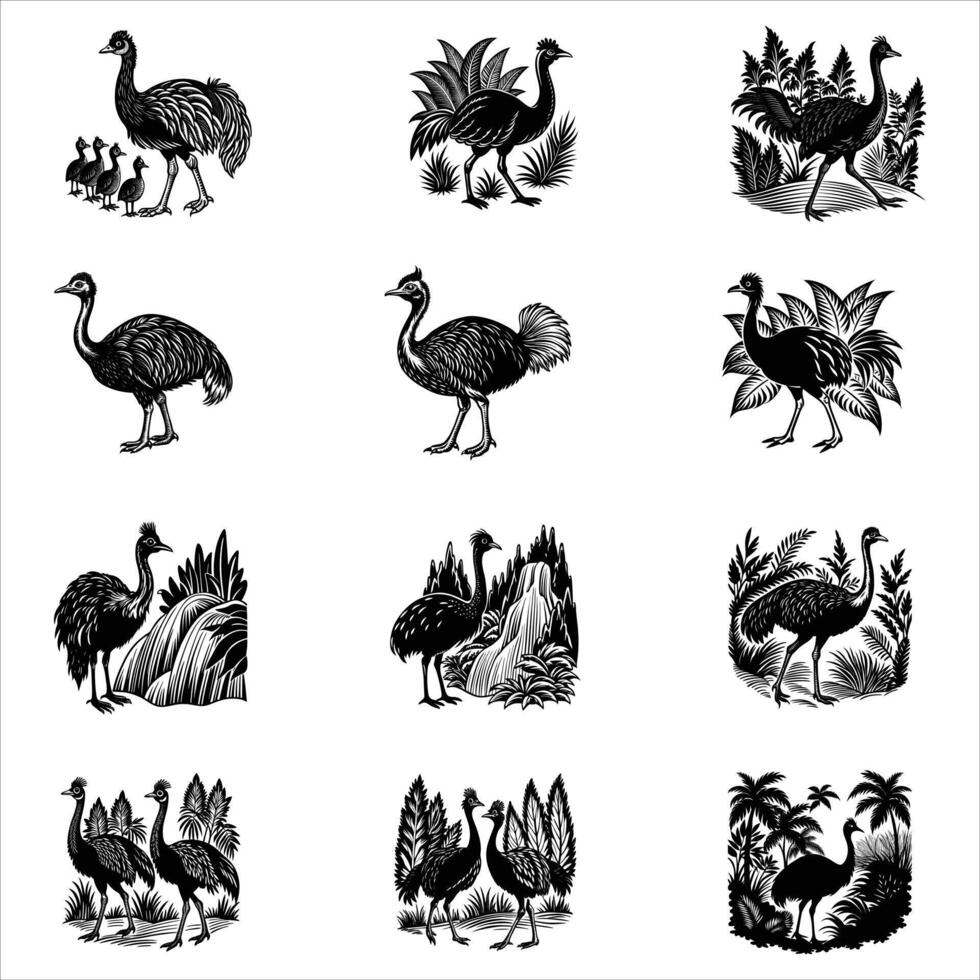 Cartoon funny cassowary isolated on white background vector