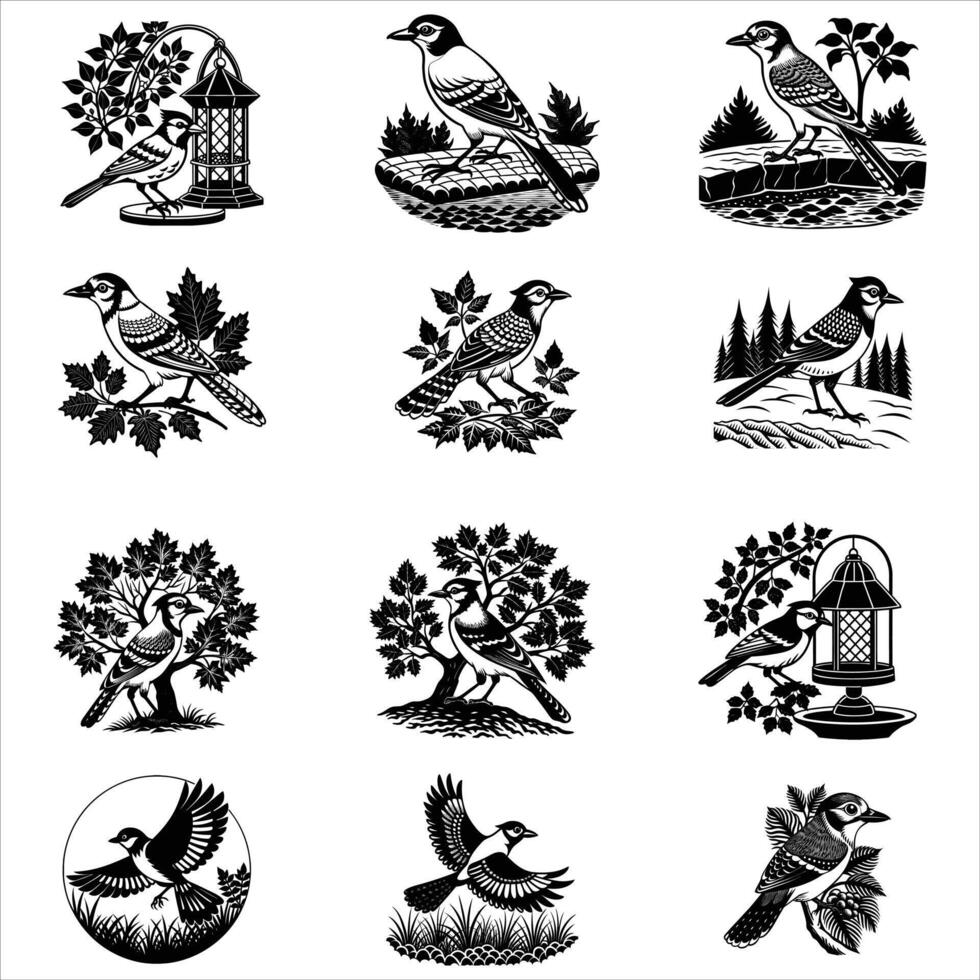 Eurasian Jay Bird Svg vector