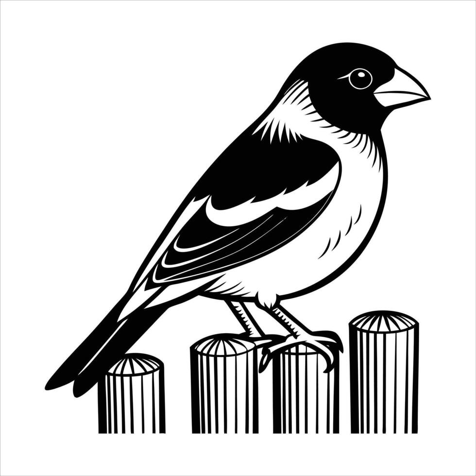 Eurasian Bullfinch Bird vector