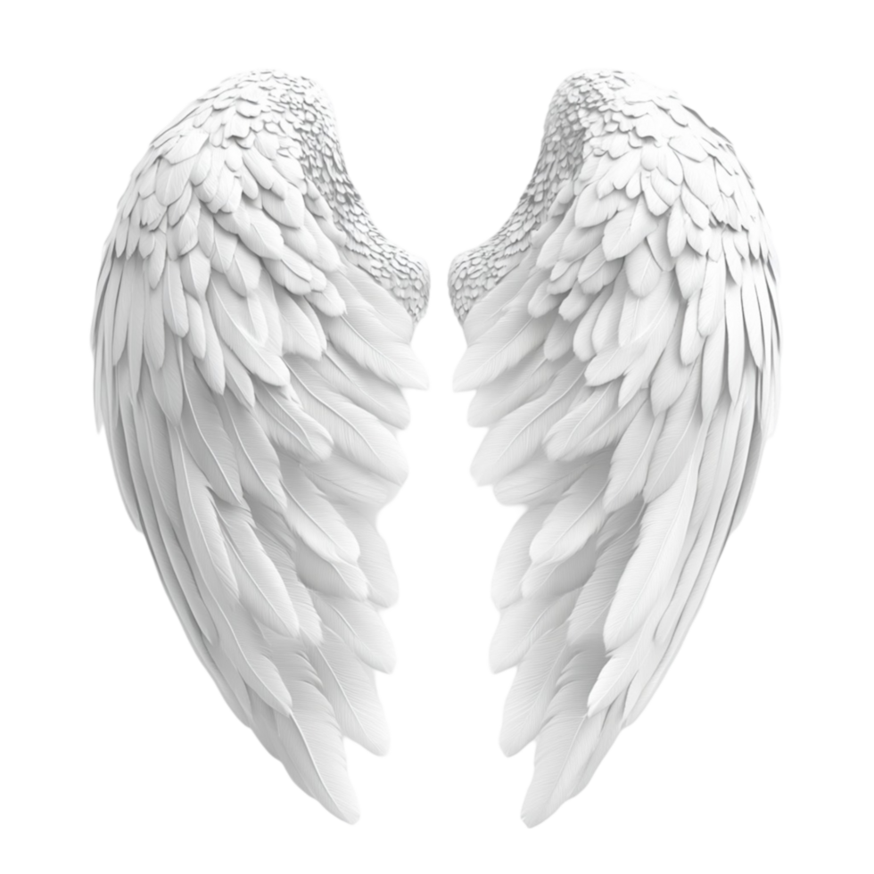Elegant Soft Feathered Angel Wings png