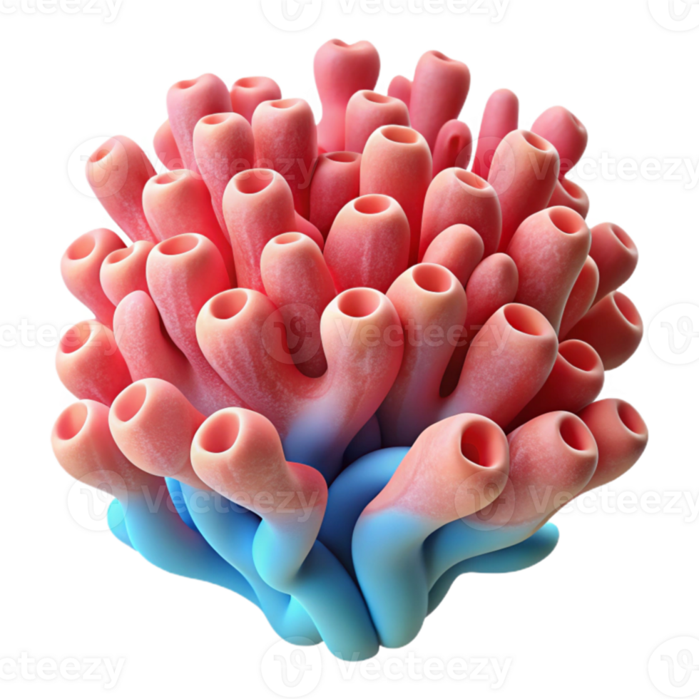 Vibrant Coral Reef Underwater Ecosystem Illustration png