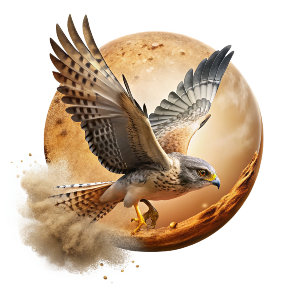 Desert Falcon Wings of the Sand Planet png