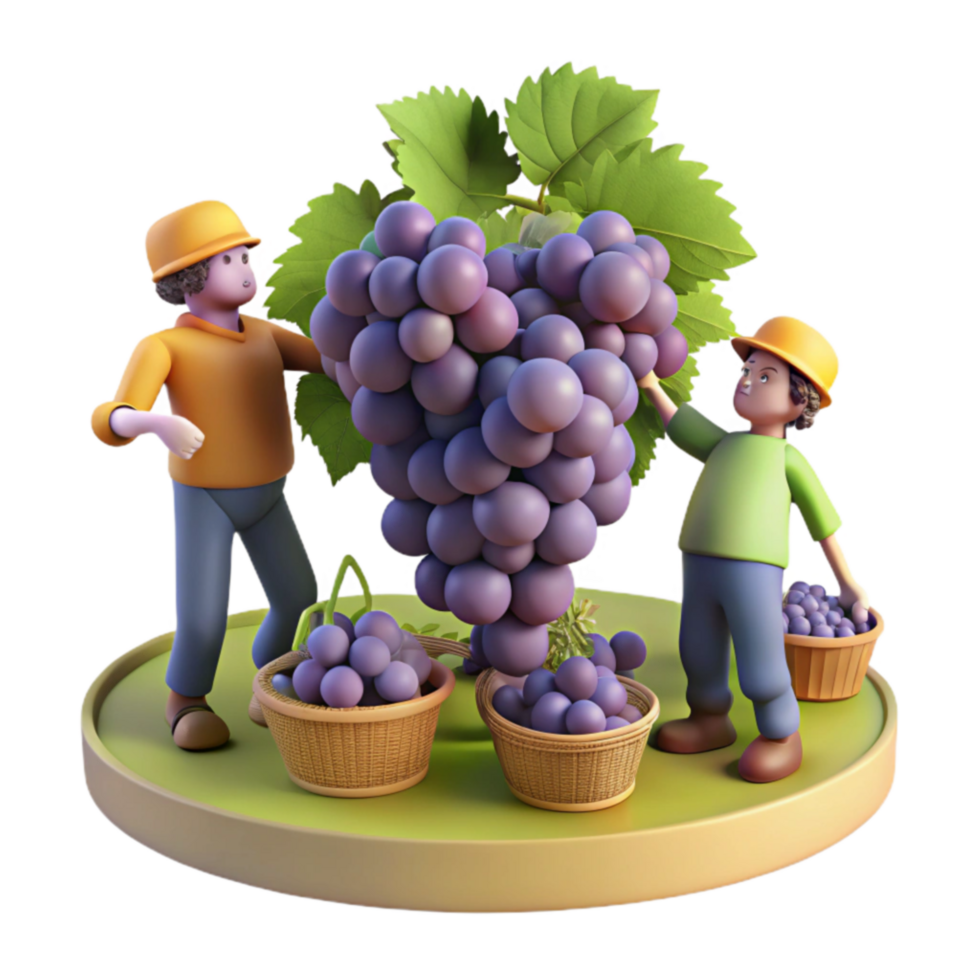 Harvesting Grapes Workers Picking Ripe Fruit png