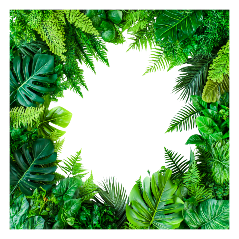 Lush Green Leaves Frame with Various Tropical Plants and Foliage png